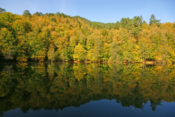 istock Yedigoller National Park - Bolu 1475936131