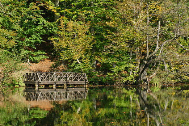 istock Yedigoller National Park - Bolu 1475936229