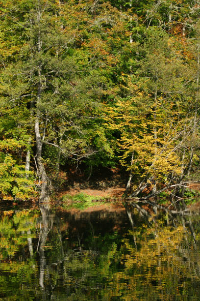 istock Yedigoller National Park - Bolu 1475936320