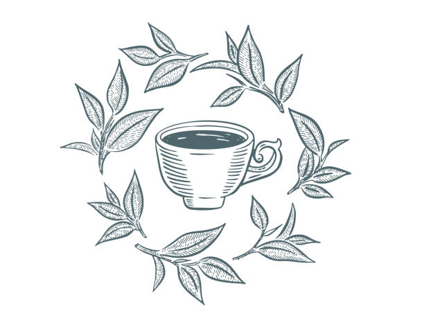 Green Tea Drowing 6,600+ Green Tea Drawing Stock Photos, Pictures & Royalty-Free Images ...