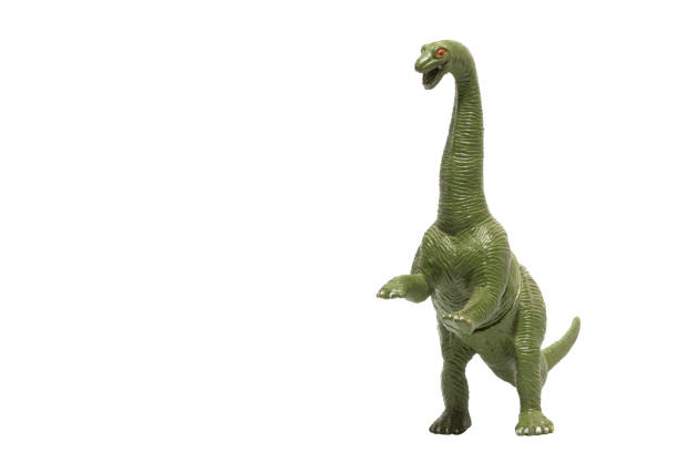 istock A long necked plastic dinosaur standing on two legs isolated on white background 1475940478