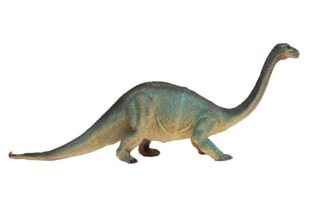 istock A worn plastic long necked dinosaur isolated on white background. Brachiosaurus. 1475940482