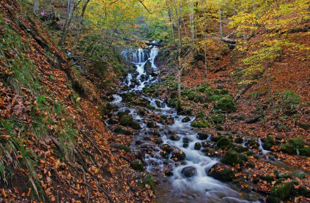 istock Yedigoller National Park - Bolu 1475942596