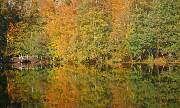 istock Yedigoller National Park - Bolu 1475946492