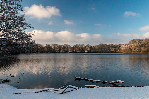 Beautiful trees with snow clinging to the branches against a bright blue sky reflecting into a calm lake.