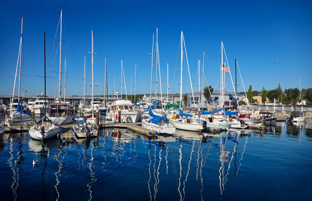Edmonds marina - boats of all sizes