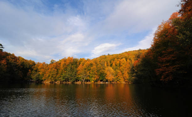istock Yedigoller National Park - Bolu 1475948947