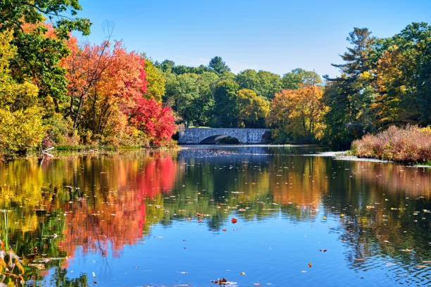 istock Willow Street bridge over the Charles River 1475949918