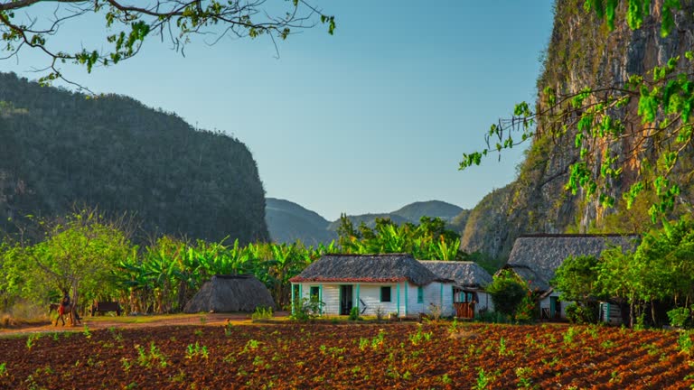 Tobacco farm in Cuba - Valle De Vinales