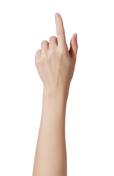 istock Young woman hand touch virtual screen on white background 1475966682