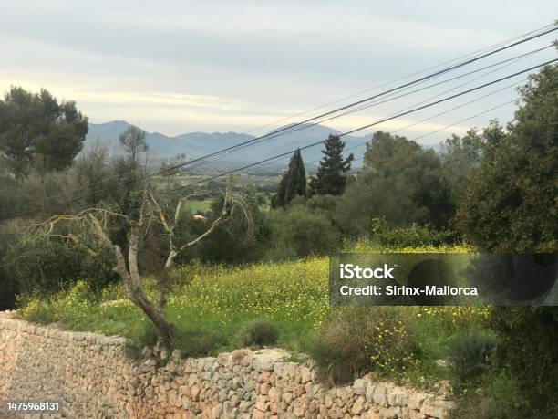 Costitx Village Stock Photo - Download Image Now - Old, Stone Material, Windmill