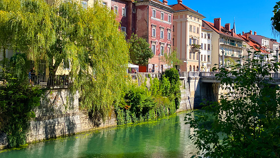 Ljubljanica river view from the riverside and houses
