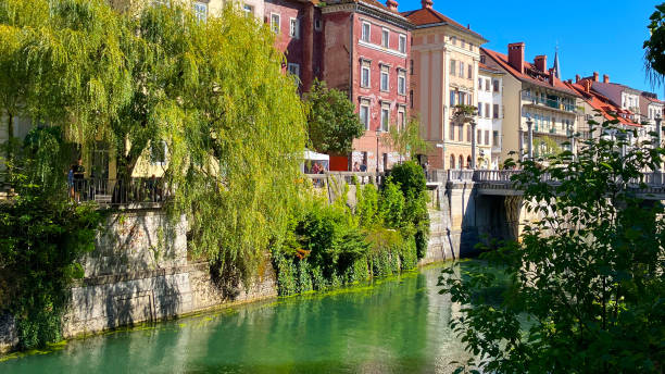 Ljubljana  river view from the riverside Ljubljanica river view from the riverside and houses ljubljana castle stock pictures, royalty-free photos & images
