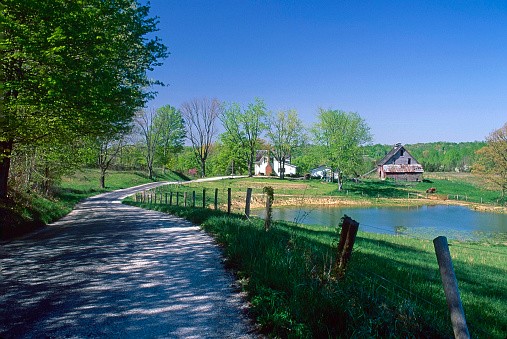 Lush bright green leaves, redbud trees, rural road scenes, and Wabash River of Indiana's springtime.