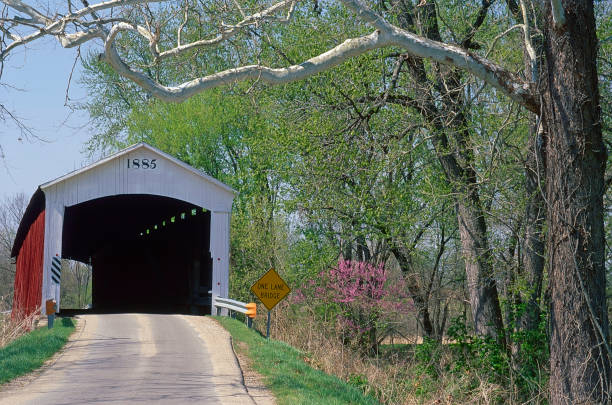 Newport Bridge, springtime in Indiana Lush bright green leaves, redbud trees, rural road scenes, and Wabash River of Indiana's springtime. indiana covered bridge stock pictures, royalty-free photos & images