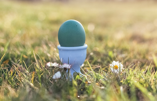 Closeup of Easter Egg in Grass