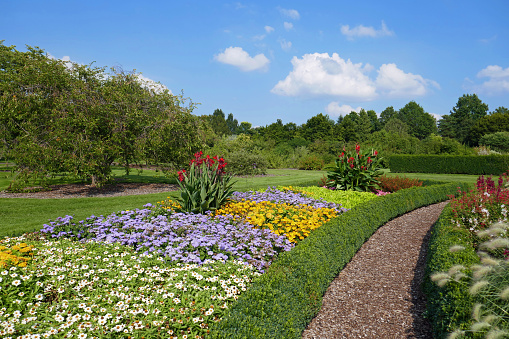 fresh spring lawn with blooming pink and white spring tulips flowers