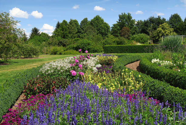 Beautiful flower and herb garden.
