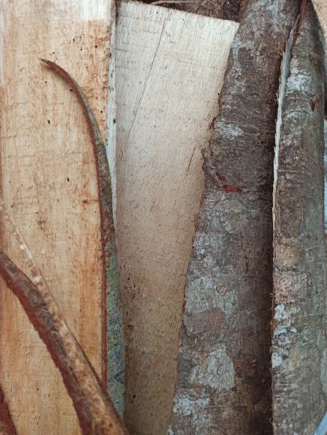 istock trace wood from wood factory pattern texture background 1475977836
