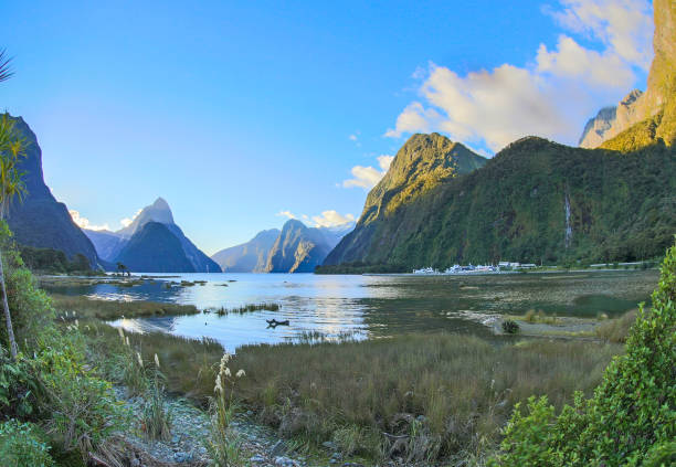 istock Mitre Peak in Milford Sound 1475982798