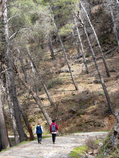 istock Young couple walking in the mountain with forest 1475983172