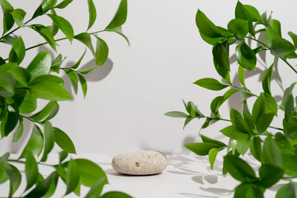 istock Empty stone podium, natural branches and green leaves with shadows on light grey background. Backdrop with round rock for product presentation. Mockup for eco cosmetic advertising. Spring still life 1475984122