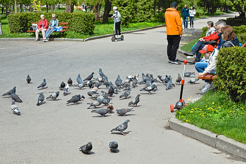 Rivne, Ukraine, May 5, 2022: People rest in the city park and feed the pigeons
