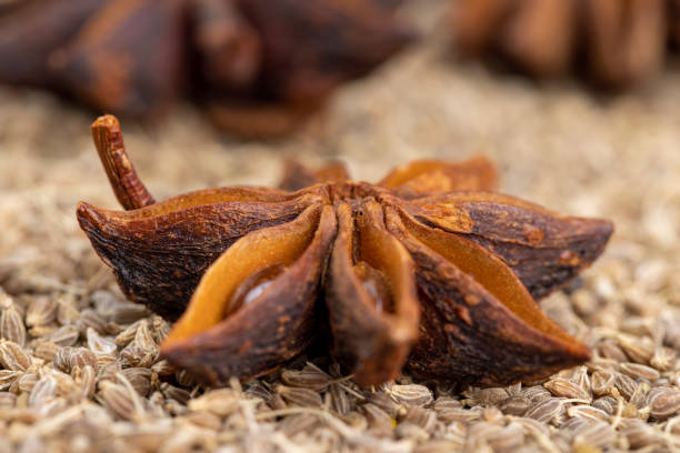 istock Whole fragrant star-shaped Anise Spices 1475987671