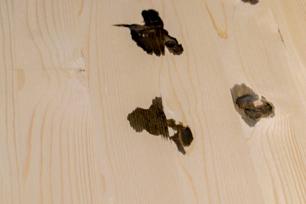 istock dirty pine board with black spots 1475987806
