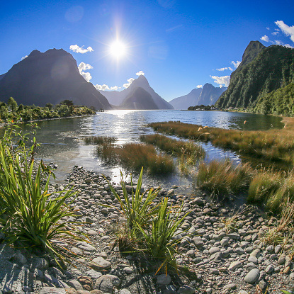 The tides recede from Milford Sound as dawn breaks over the distant mountain peaks.