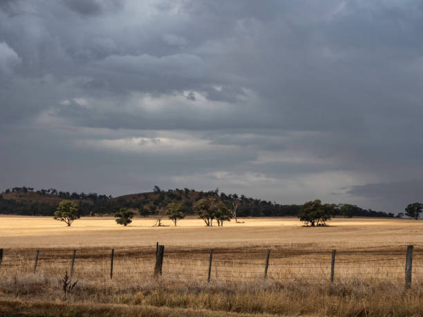 istock Rural farmland on stormy day 1475990539
