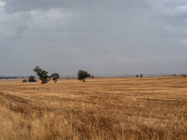 istock Rural farmland on stormy day 1475990586