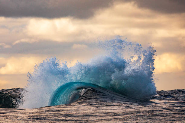 istock Wave explosion in the ocean on a stormy morning with golden light 1475992859