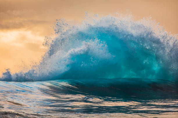 istock Wave explosion in the ocean on a stormy morning with golden light 1475992886