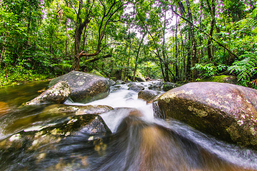 Flowing stream of water over rocks in lush tropical rainforest scene. Photographed in Tropical North Queensland, Australia.