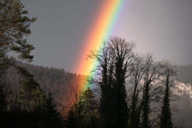 bright, intensive rainbow close-up with dark trees silhouette. scenic rainbow with mountain landscape. weather after storm. - switzerland forest storm summer imagens e fotografias de stock