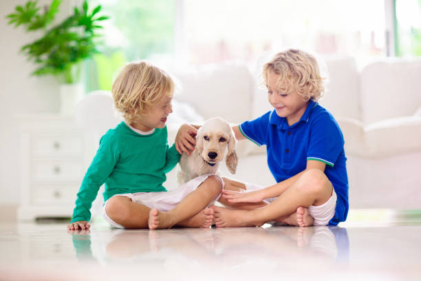 istock Child playing with dog. Kids play with puppy. 1476017796