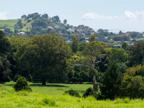 istock Auckland city detailed distant view 1476018562