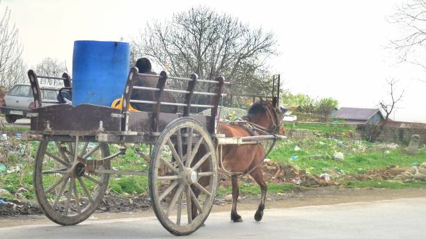 istock Kashmiri Tonga, Horse Cart in Sopore 1476019370
