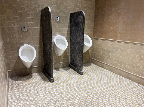 pissoirs in a public restroom