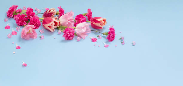 istock beautiful spring flowers on blue background 1476022097