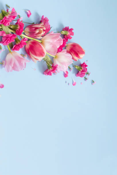 istock beautiful spring flowers on blue background 1476022098
