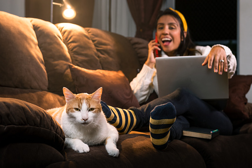 A cozy indoor scene with a sleeping white cat in the foreground and a Latin woman in the background on her laptop while talking on her phone, illuminated by a warm lamp light