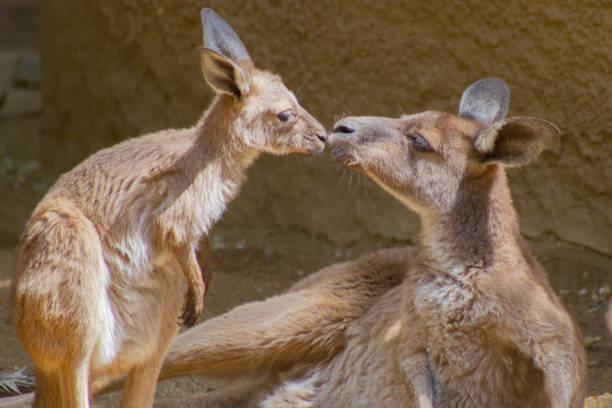 A Greeting with a mom and child