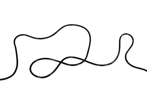白い背景にusbとアダプタの黒いワイヤーケーブル。電子コネクタ.選択フォーカス。クリッピングパス。 - usb wire ストックフォトと画像