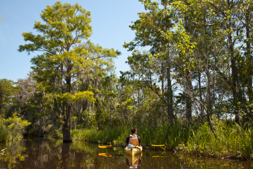 Kayaker resting and enjoying the view along Cat Head Creek in South Georgia.