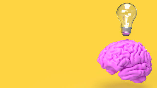 istock The Brain and light bulb for creative thinking or Brainstorm  concept 3d rendering 1476053529