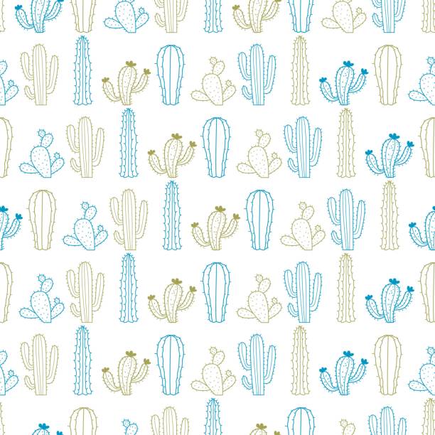 ilustrações, clipart, desenhos animados e ícones de variedade abstrata cactus plant vector seamless pattern - abstract backgrounds botany cactus