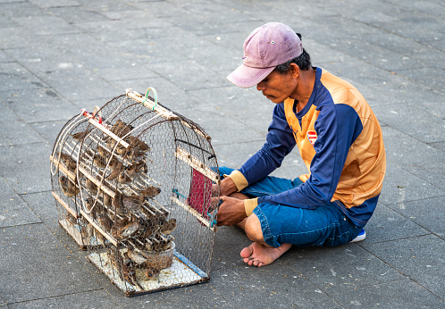 Phnom Penh,Cambodia-December 23rd 2022:Small birds,kept in a cage,are bought individually by Khmer Buddhists,who release them into the air, as they wish for good luck and prosperity.