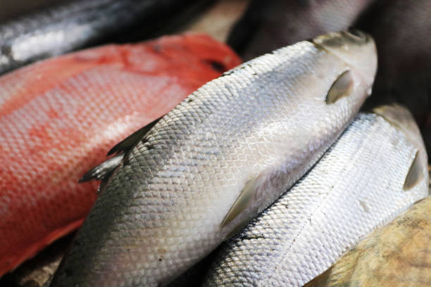 Milkfish is sold in traditional markets